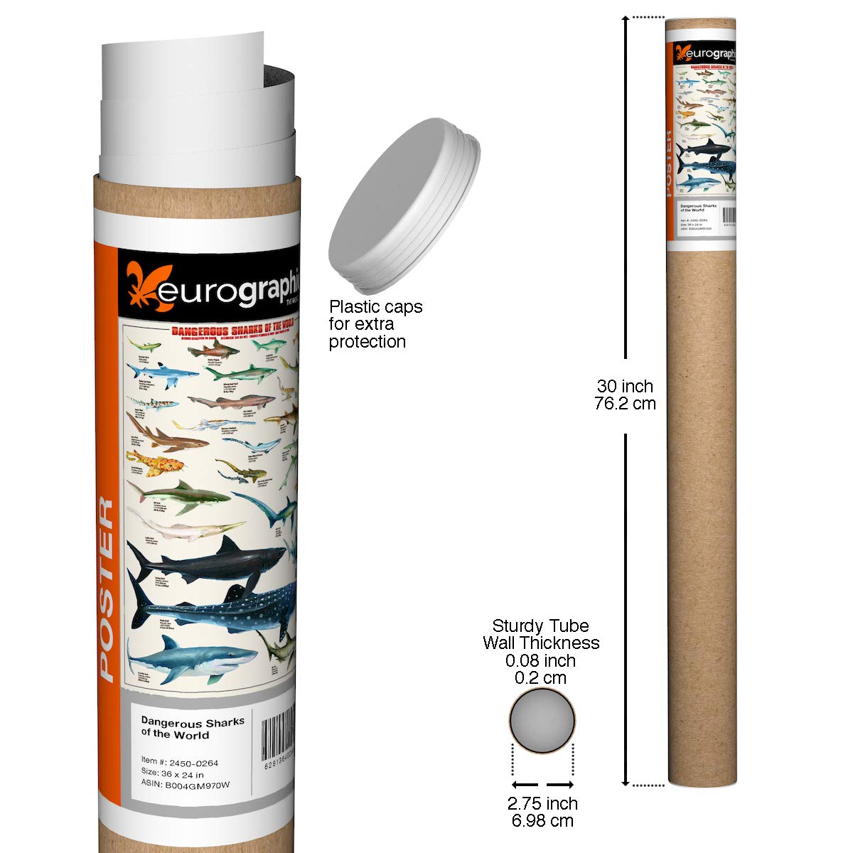 EuroGraphics Dangerous Sharks Poster 36 x 24 inch Beige